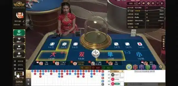 首頁 11 骰寶